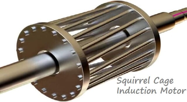 Squirrel Cage Induction Motor