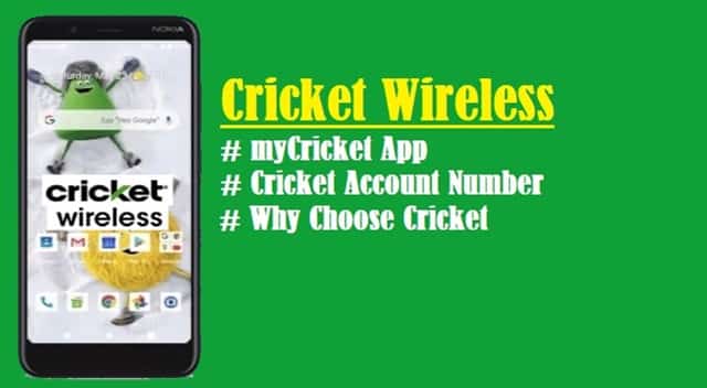 what is cricket mobile