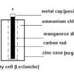 pRIMARY CELL