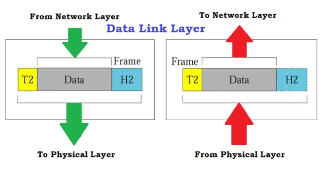 3 Data Link Layer in OSI Model