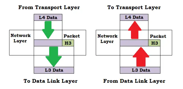 4 Network layer in OSI model