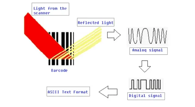 8 How Barcode Reader Reads 1D Barcode