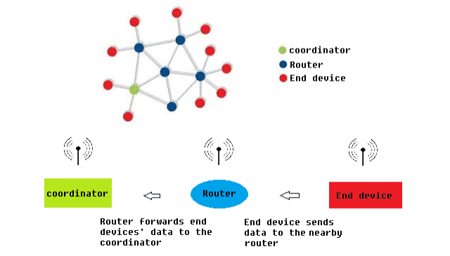 Zigbee Network Node Types