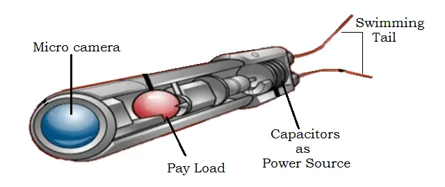 Components of Nano Robots