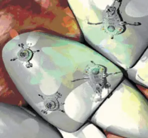 Nano Robots in Dentistry