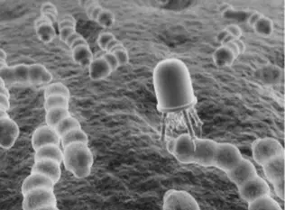 Nano Robots in Surgery