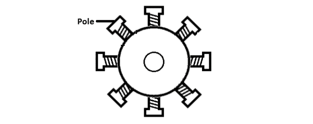 Salient Pole Rotor