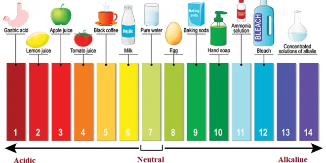 pH Measurement - Working Principle, Applications and Advantages