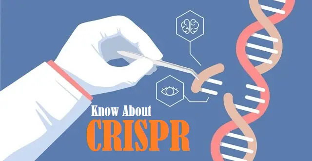 CRISPR Gene Editing Technology - How it Works, Uses & Limitations