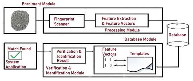 Architecture of Fingerprint Recognition