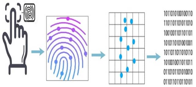 Representation of Pre-Processing Stage