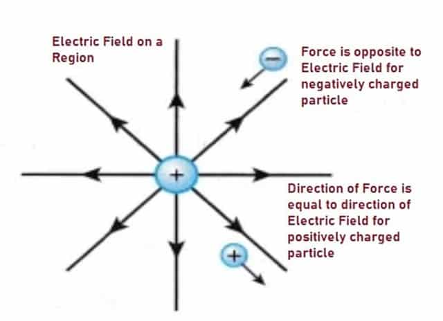 Representation of Electric Field and Force Vectors