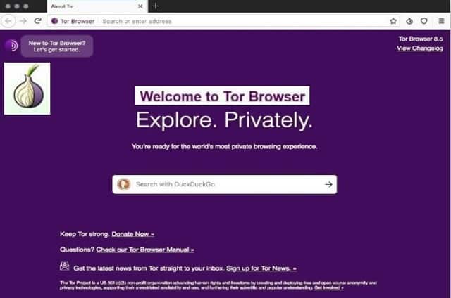 Tor Browser for Dark Net