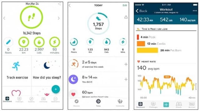 Fitbit Tracker log on smartphone 