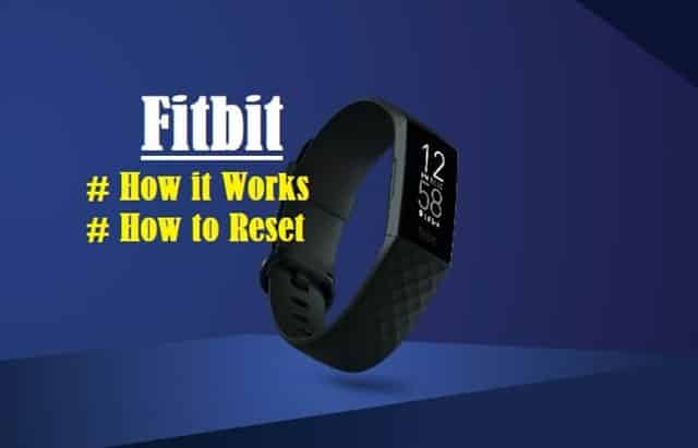 Introduction to Fitbit