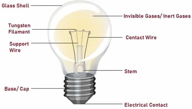 Parts of Bulb