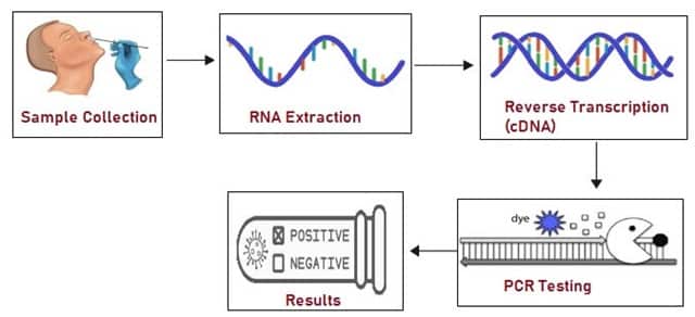 RTPCR Test steps