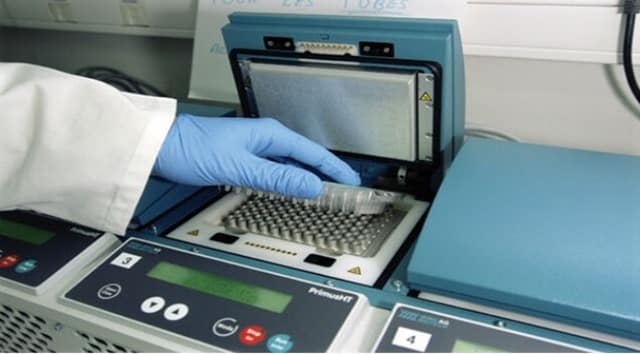 Thermal Cycler