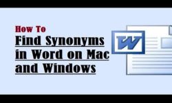 Intro-to-Synonym-on-Mac-and-Windows_thumb.jpg