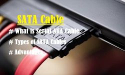 Intro-to-SATA-Cable_thumb.jpg