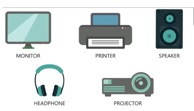 Output Devices
