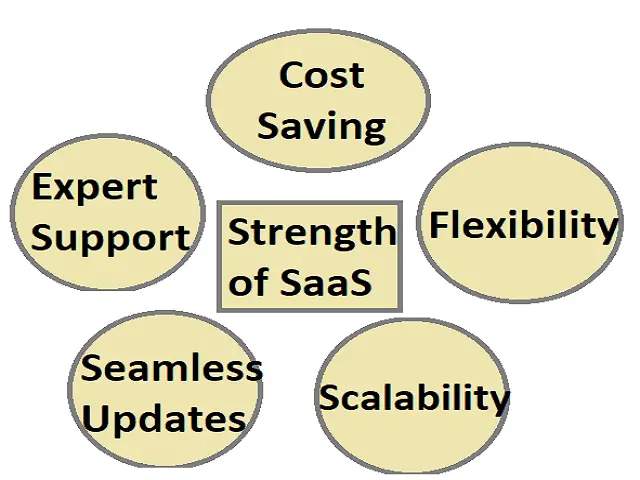 Strengths-of-SaaS