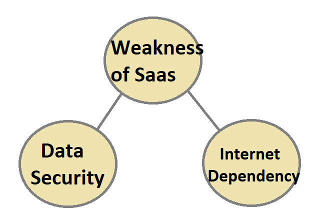 Weakness-of-SaaS