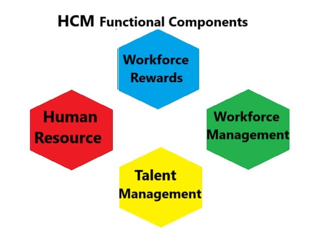 Functional-Components-of-HCM