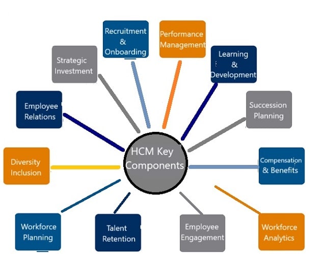 Key-Components-of-HCM